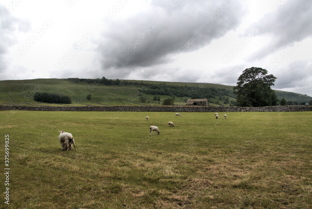A view of the Yorkshire Dales near Mallam Cove A view of the Yorkshire Dales near Mallam Cove