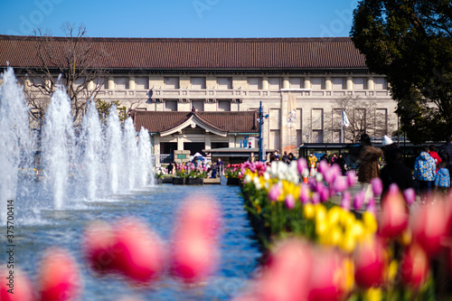 上野公園　噴水　Ueno park fountain photo