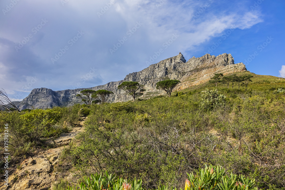 Table Mountain overlooking the city of Cape Town, South Africa. Table Mountain is the most iconic landmark of South Africa.