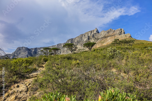 Table Mountain overlooking the city of Cape Town, South Africa. Table Mountain is the most iconic landmark of South Africa.