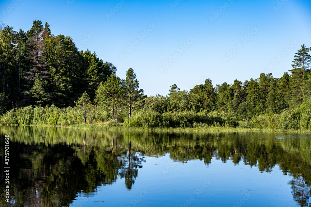 Fototapeta premium summer northern landscape with lake trees rocky shore and water reflections
