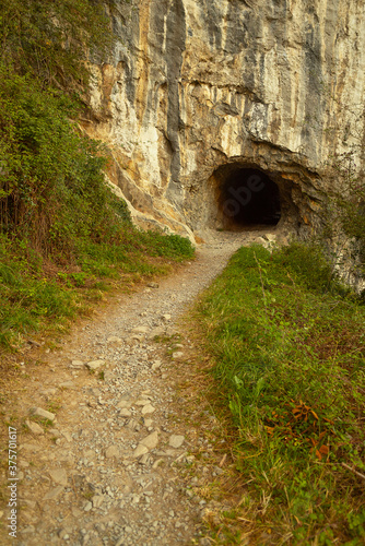 Fototapeta Naklejka Na Ścianę i Meble -  mountain forest senda del oso asturias tunnel