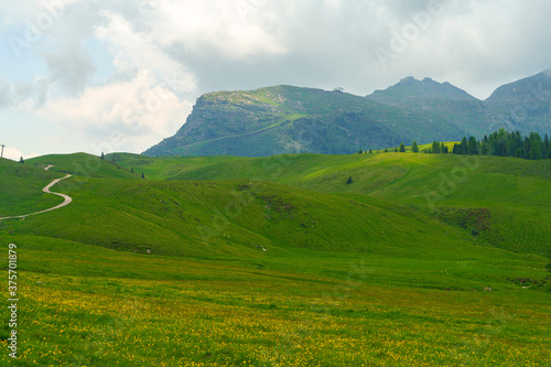Landscape of Dolomites in Venegia valley at summer