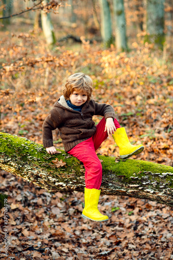 Child outdoors enjoying autumn nature. Portrait kids with funny face on yellow maple leaves.