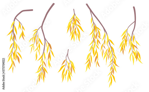 Simple Autumn Weeping Willow Branches and Foliage.