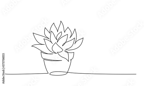House plant in pot. Continuous one Line drawing