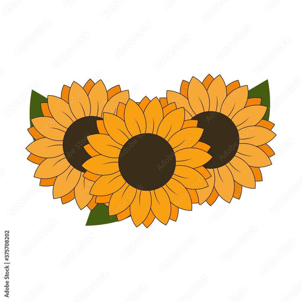 Fototapeta premium 3 Sunflowers with leaves design element