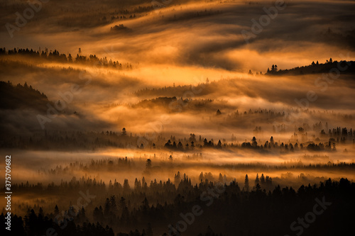 Fototapeta Naklejka Na Ścianę i Meble -  Sunrise over the mountain forest. Bieszczady National Park. Carpathian Mountains. Poland.