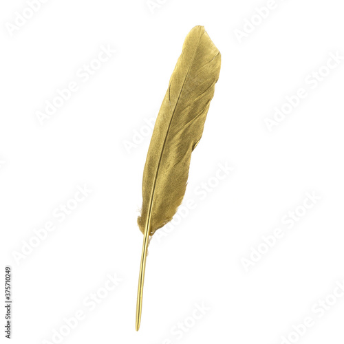Golden Feather on the white background isolated
