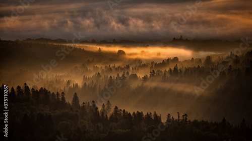 Fototapeta Naklejka Na Ścianę i Meble -  Sunrise over the mountain forest. Bieszczady National Park. Carpathian Mountains. Poland.