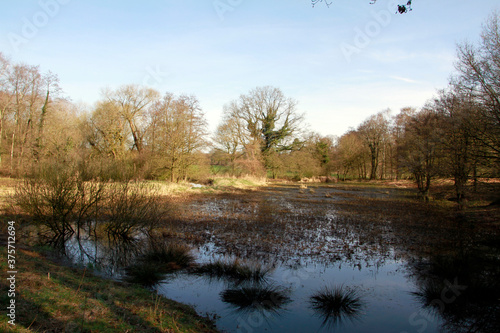 Biotope und Naturschutz in der Nähe von Blumenthal.. Beckedorf, Niedersachsen, Deutschland, Europa photo