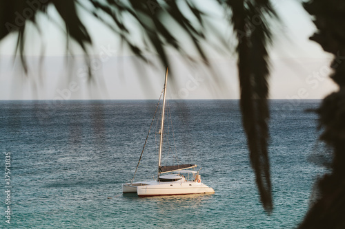 Catamaran in the Mediterranean Sea photo