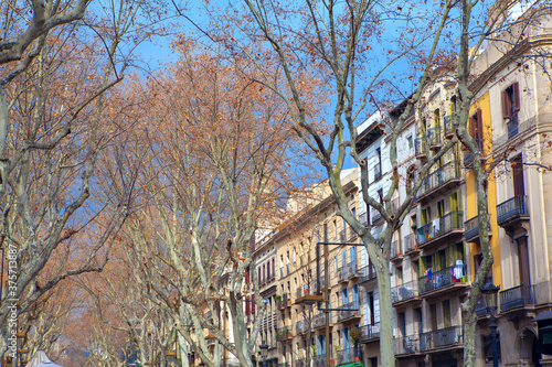 Trees and houses of La Rambla street in Barcelona 