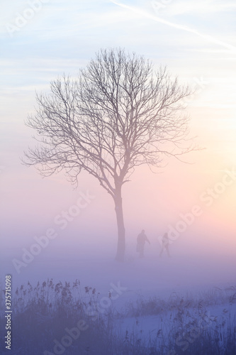Two people walking on a foggy cold wintermorning photo