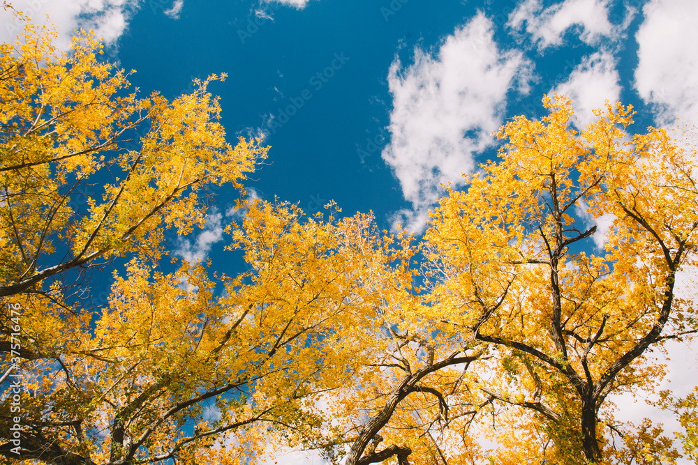 looking up, Utah looking up, Utah