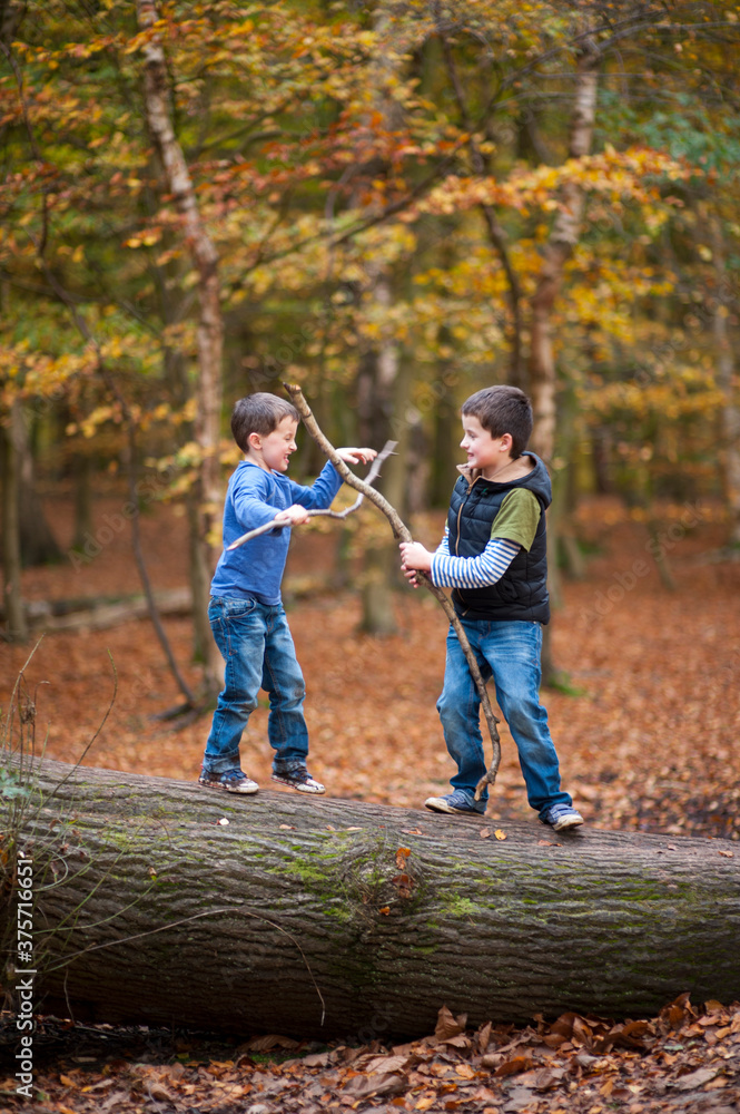 boys play fighting with sticks in a forest boys play fighting with sticks in a forest