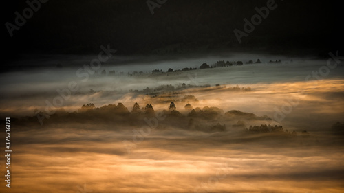 Fototapeta Naklejka Na Ścianę i Meble -  Sunrise over the mountain forest. Bieszczady National Park. Carpathian Mountains. Poland.