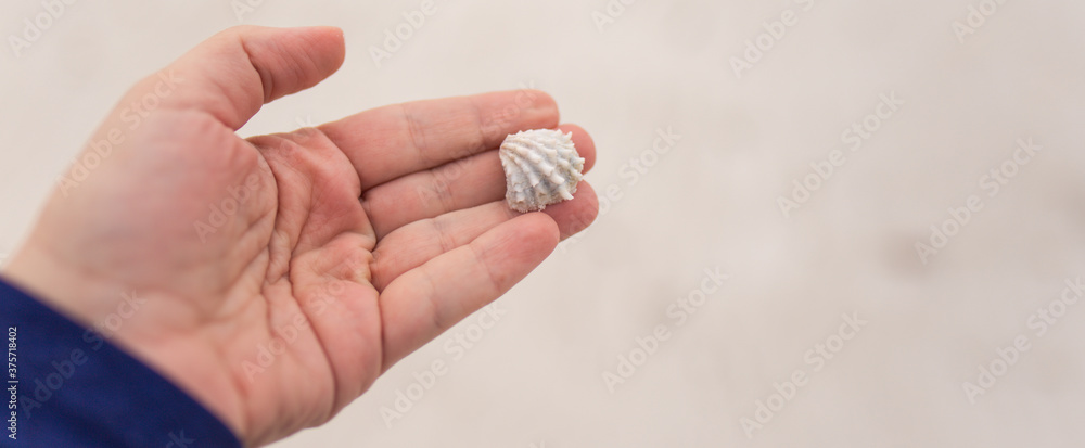 Fototapeta premium holding a sea shell 