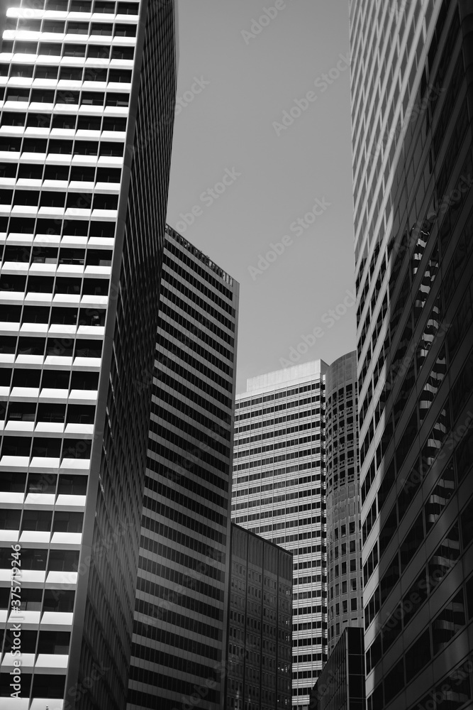 Black and white image of the concrete jungle of San Francisco. Black and white image of the concrete jungle of San Francisco.
