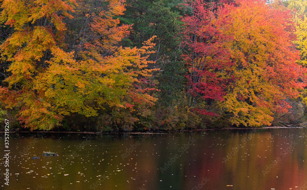 Fall Colors Reflect off the River Fall Colors Reflect off the River
