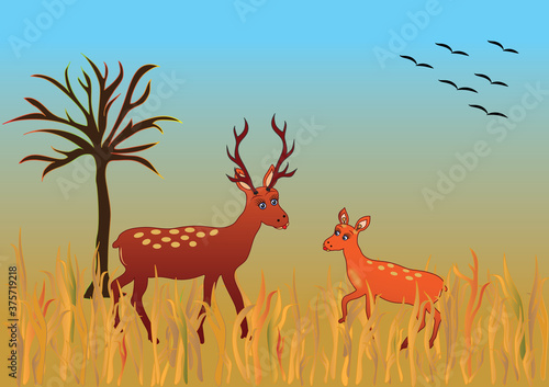 Autumn season themed deer in nature and flying birds in vector format and jpg. Colorful fall background with deer in the open.