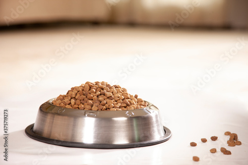 Detail of stainless steal dog bowl with rubber base filled with dry kibble sitting on kitchen floor, with a few bits of kibble loose on the floor  photo