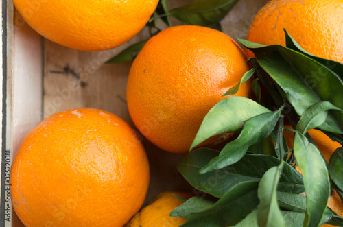 Organic sweet oranges close up photo