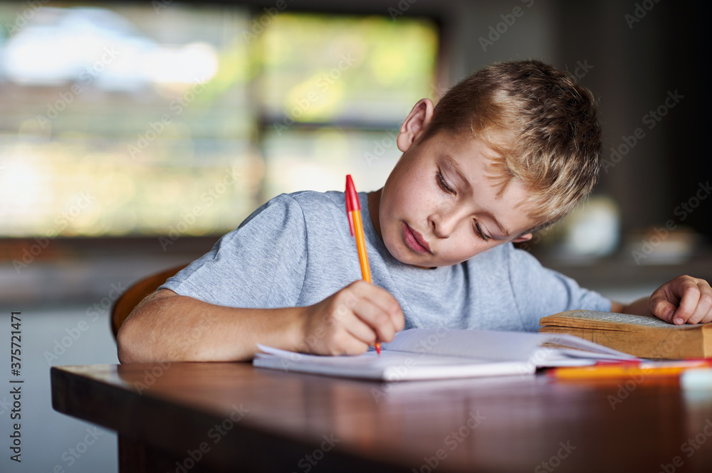 Homework child Homework child