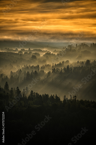 Fototapeta Naklejka Na Ścianę i Meble -  Sunrise over the mountain forest. Bieszczady National Park. Carpathian Mountains. Poland.