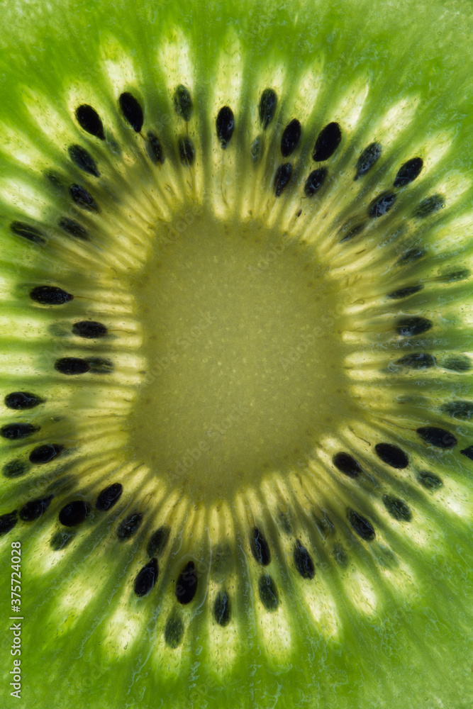 Kiwi fruit macro