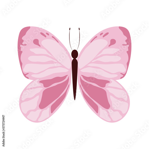 pink beautiful butterfly delicate insect isolated icon white background © Stockgiu