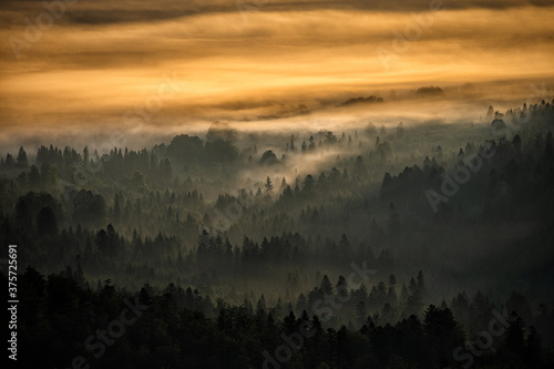 Sunrise over the mountain forest. Bieszczady National Park. Carpathian Mountains. Poland.