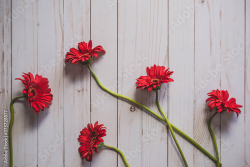 Fototapeta Naklejka Na Ścianę i Meble -  Abstract Red Flowers on Wood Background