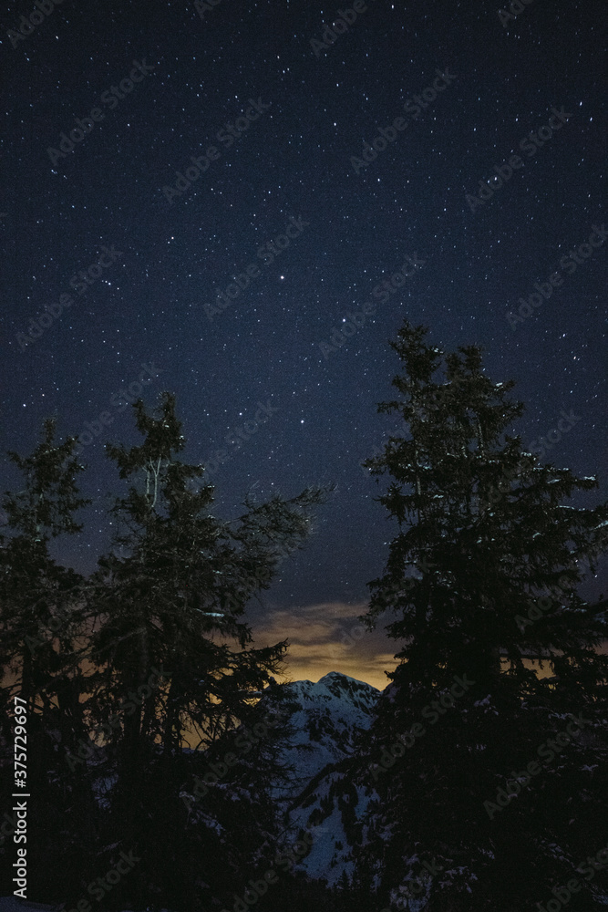 trees and austrian mountain peak under starry night trees and austrian mountain peak under starry night