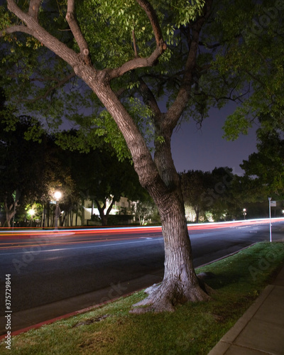 Night in Pasadena photo