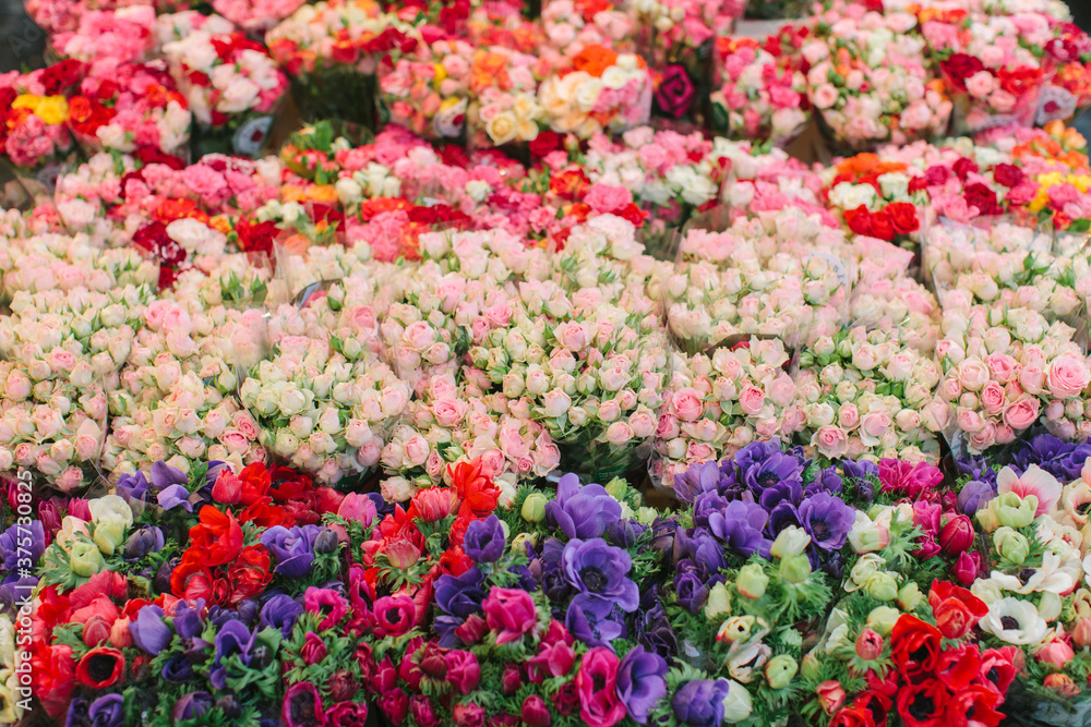 Bouquets of colorful flowers Bouquets of colorful flowers