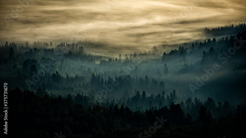 Fototapeta Naklejka Na Ścianę i Meble -  Sunrise over the mountain forest. Bieszczady National Park. Carpathian Mountains. Poland.