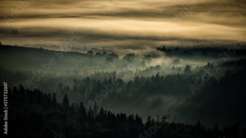 Fototapeta Naklejka Na Ścianę i Meble -  Sunrise over the mountain forest. Bieszczady National Park. Carpathian Mountains. Poland.