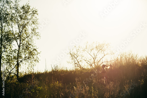 Wallpaper Mural Silhouette of a Woman Runner's Pony Tail is Lit Up by the Setting Sun Torontodigital.ca