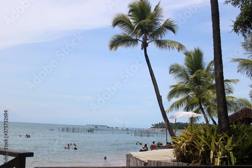 palm trees on the beach in miami © Thiago