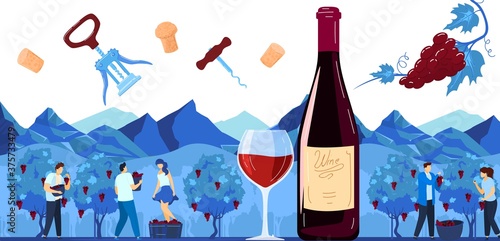 Grape harvest, wine production vector illustration. Cartoon flat winemaker characters harvesting, making alcohol drink red wine product, using traditional winemaking process in vineyard background
