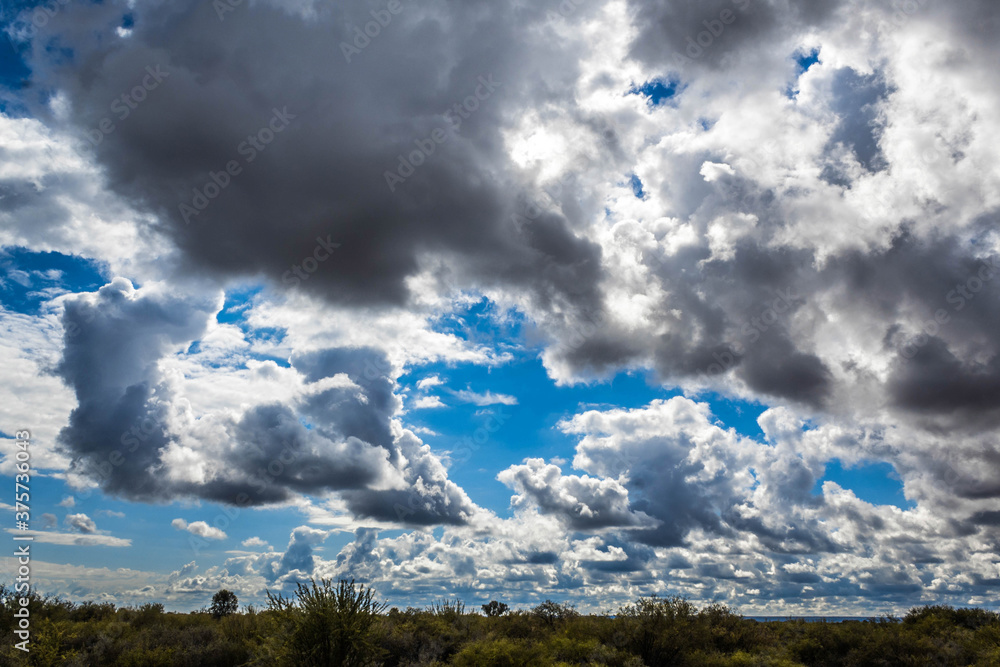 Beautiful fields covered by multiple clouds in the midday. Beautiful fields covered by multiple clouds in the midday.