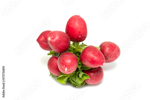 Red bunch of radish on a white background.