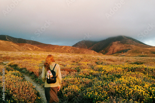 Wallpaper Mural Woman Walking on Wildflower Trail Torontodigital.ca