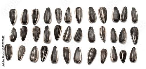 Sunflower seeds on a white background.