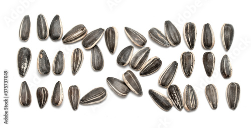 Sunflower seeds on a white background.