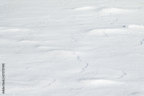 Snow background, light shadow, steppe snow cover. Large white snowy winter background. © Prikhodko