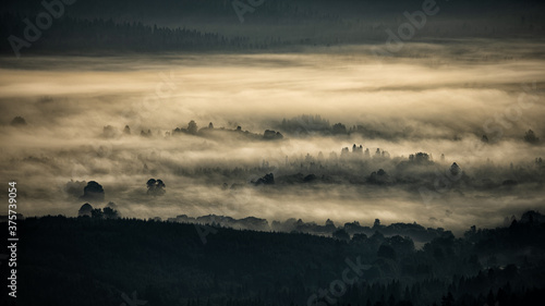 Fototapeta Naklejka Na Ścianę i Meble -  Sunrise over the mountain forest. Bieszczady National Park. Carpathian Mountains. Poland.
