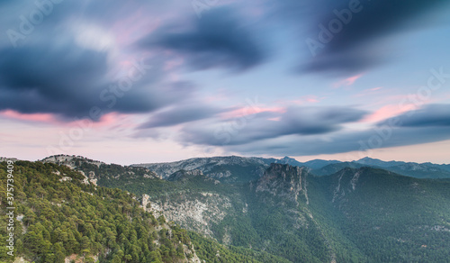 Cazorla Dreams photo