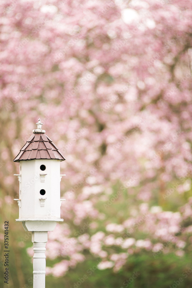 Fancy birdhouse framed with pink blossoms. Fancy birdhouse framed with pink blossoms.